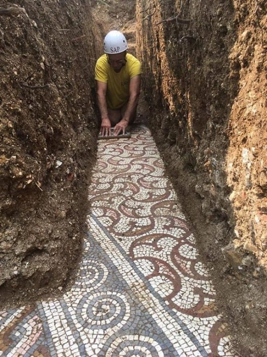 Mosaic Uncovered