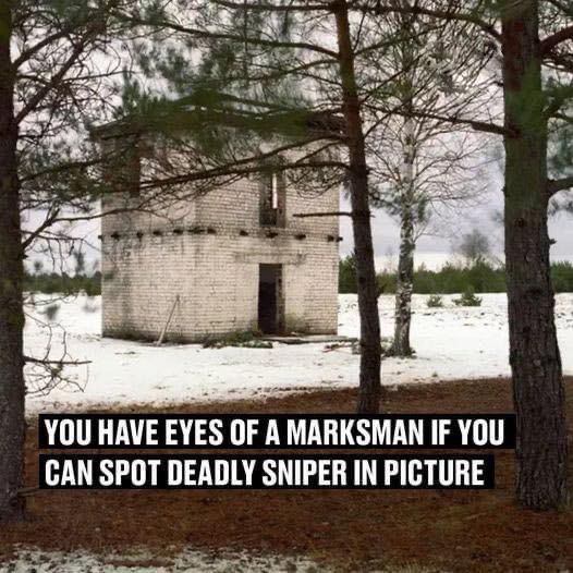 You have the eyes of a marksman if you can see the dangerous sniper in the image.