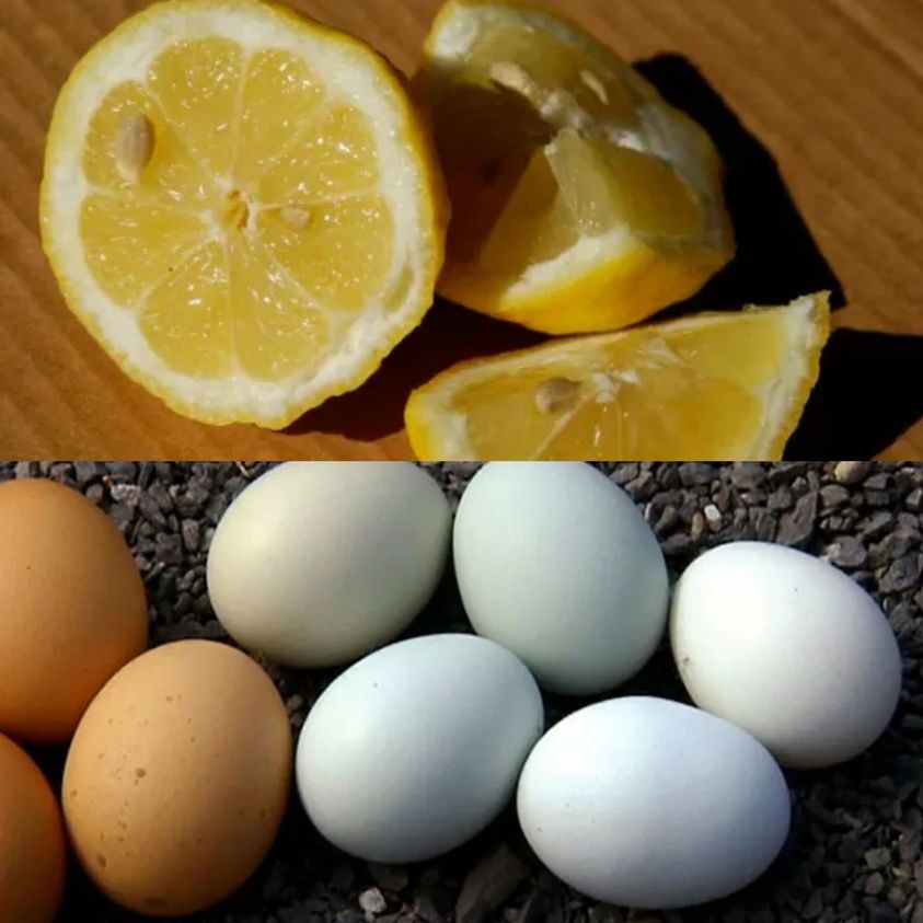 The Magic of Lemon and Egg