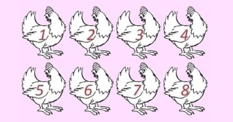 Test Your Skills: Can You Spot the Different Chicken?