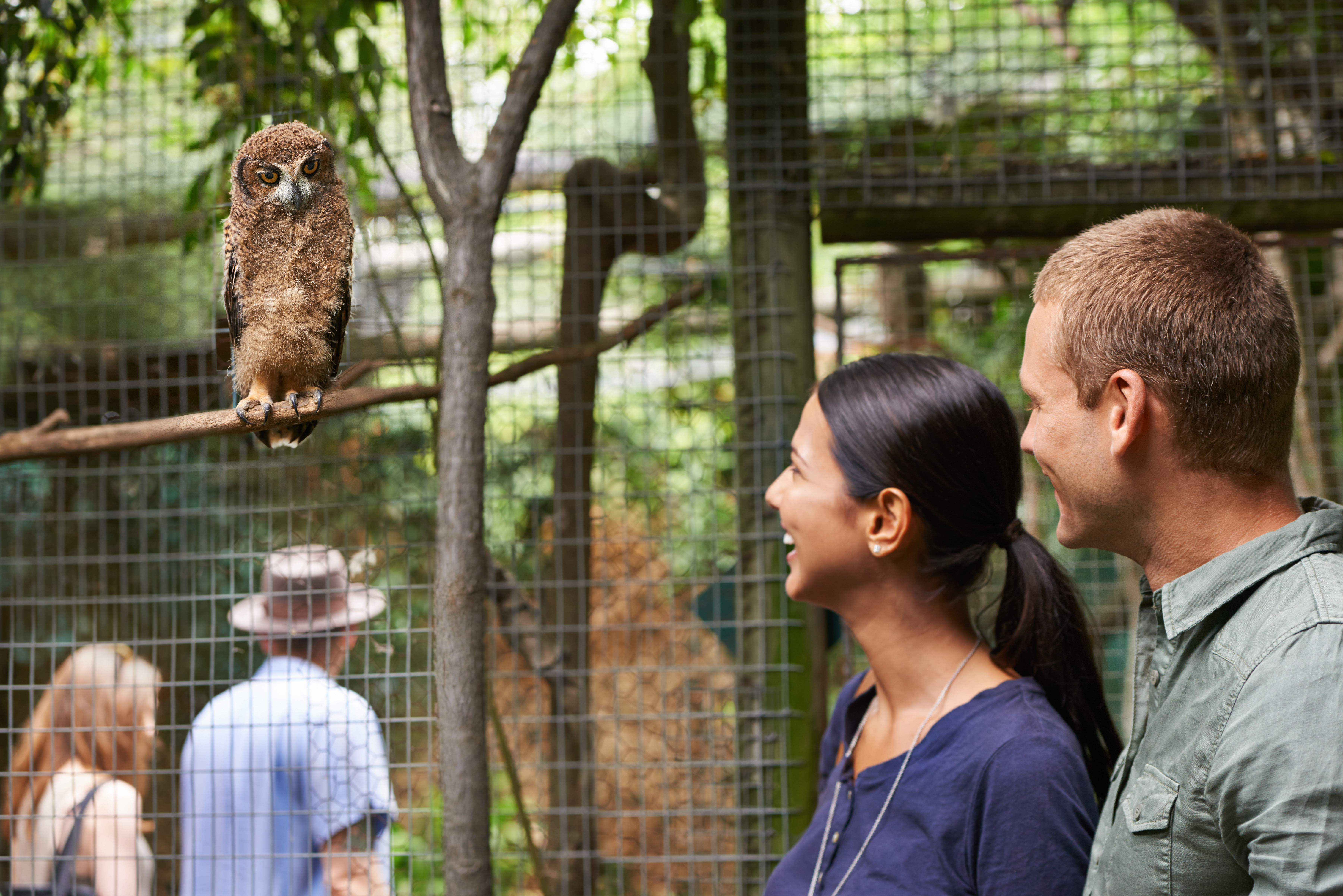 Young couple on a date to a zoo | Source: Getty Images