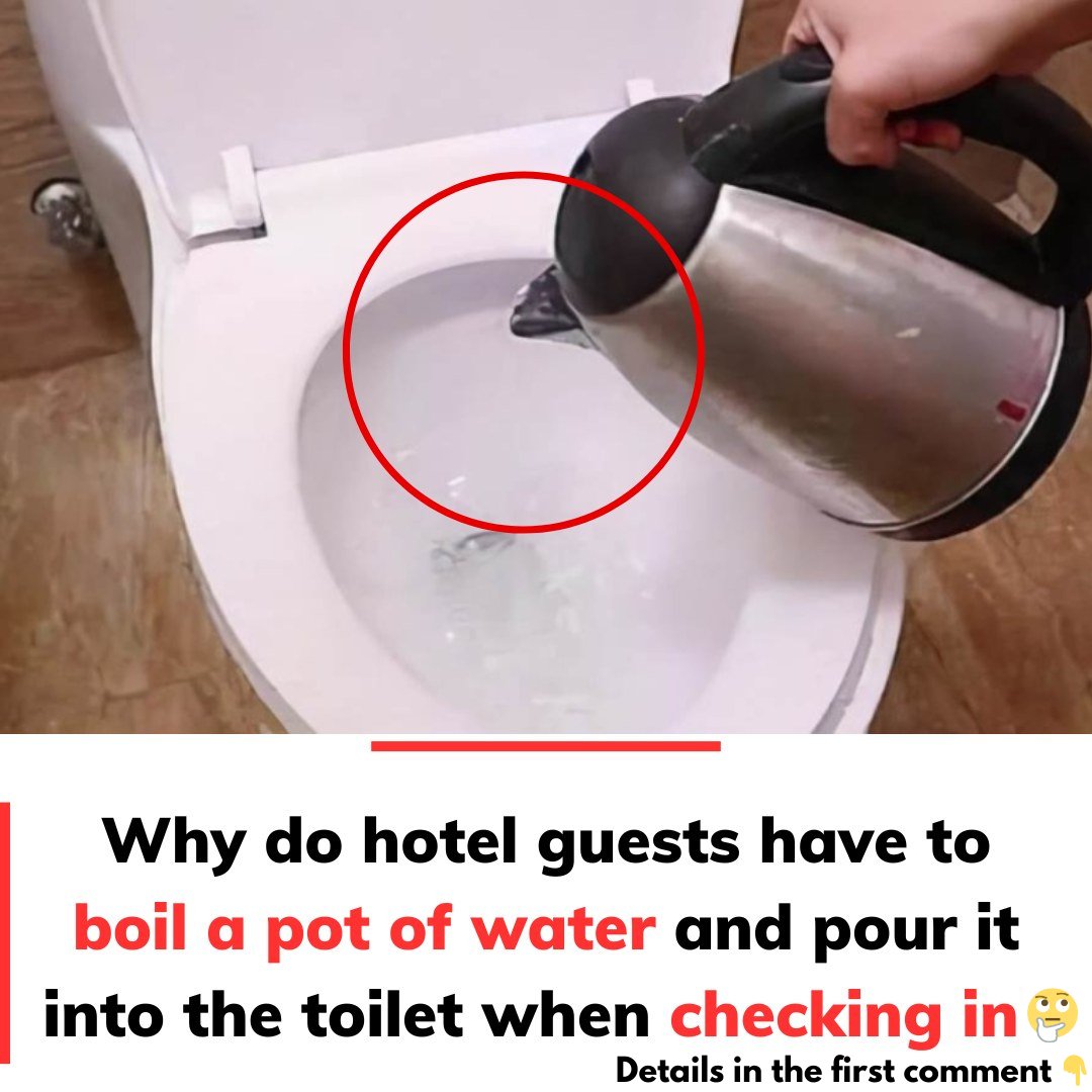 Discover Why Boiling Water In Your Hotel Room Can Enhance Cleanliness Matheus Feed