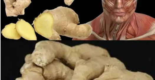 What Happens to Your Body with Daily Ginger