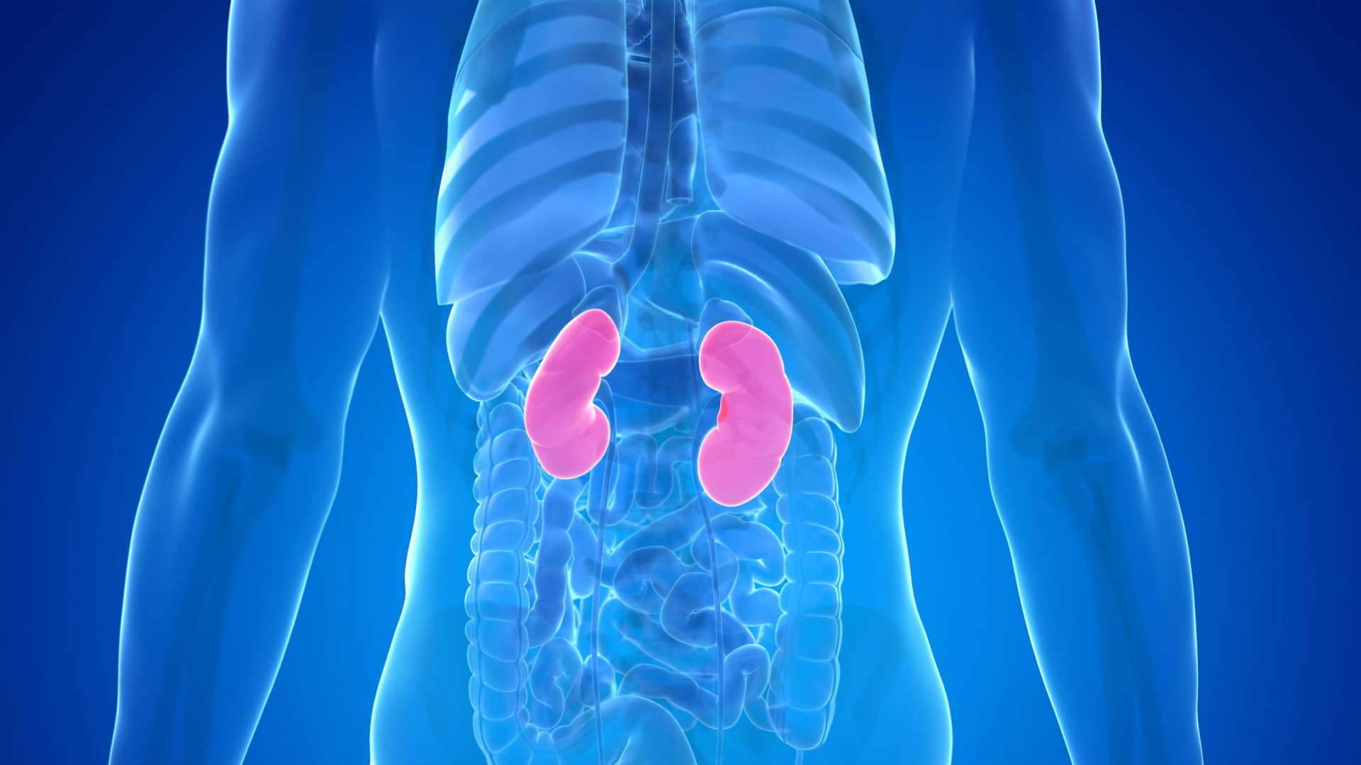 Warning Signs Your Kidneys Are in Danger – What to Watch For