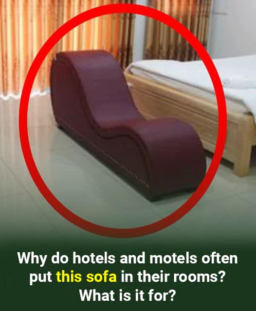 Why Do Hotels and Motels Often Include This Sofa in Their Rooms?