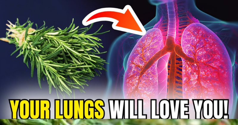 Chew It To Dissolve Mucus: Your Lungs Will Love Rosemary!