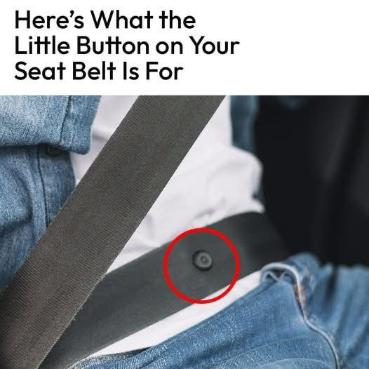 What’s the Purpose of That Tiny Button on Your Seat Belt?