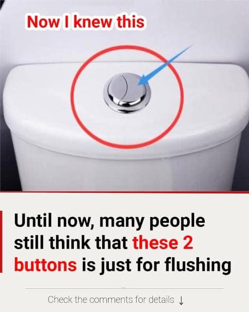 The Real Purpose Behind Those Two Flush Buttons