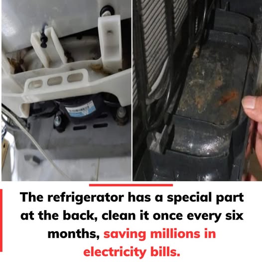 Clean This Hidden Part of Your Refrigerator to Save on Electricity and Extend Its Life