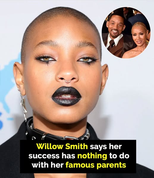 Willow Smith Emphasizes Her Success as Independent of Her Famous Parents