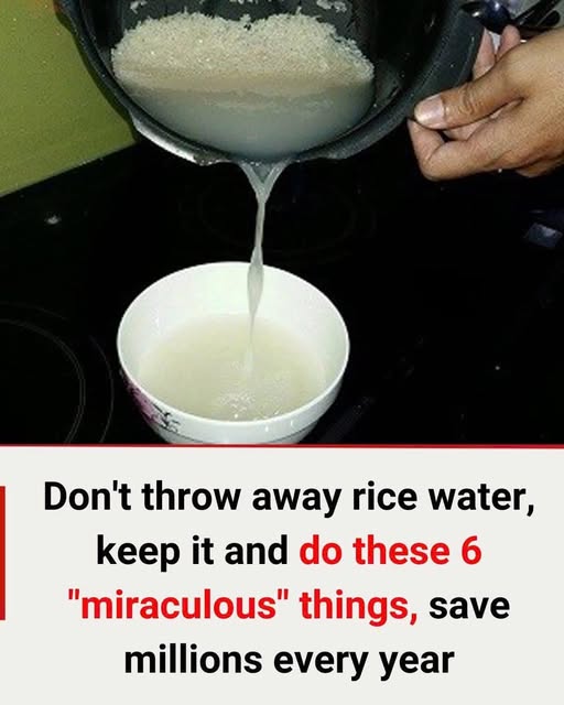 Don’t Throw Away Rice Water: Here’s How It Can Save You Money and Enhance Your Beauty Routine