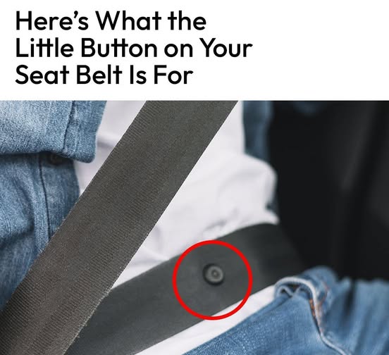 The Mysterious Button on Your Seatbelt: Unraveling Its Secret Purpose