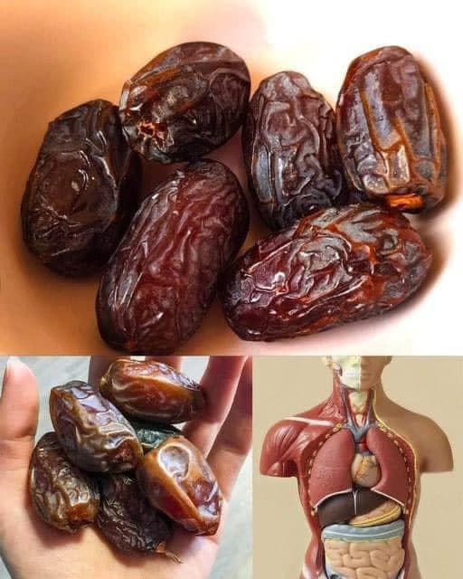 Discover the Marvelous Benefits of Eating 3 Dates a Day