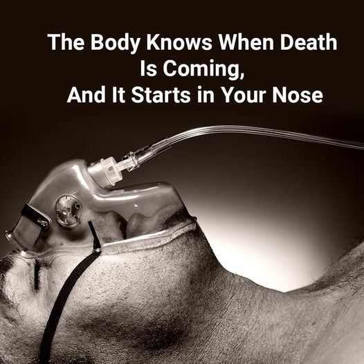 The Body Knows When Death Is Coming, And It Starts in Your Nose