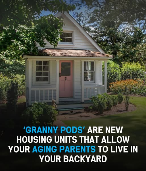 Granny Pods: A Modern Solution for Caring for Aging Parents in Your Backyard