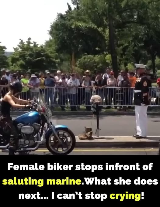 A Heartfelt Tribute: The Saluting Marine and the Female Biker’s Gesture