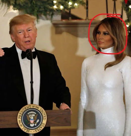 Hidden Detail in Melania Photo Has Everyone Talking