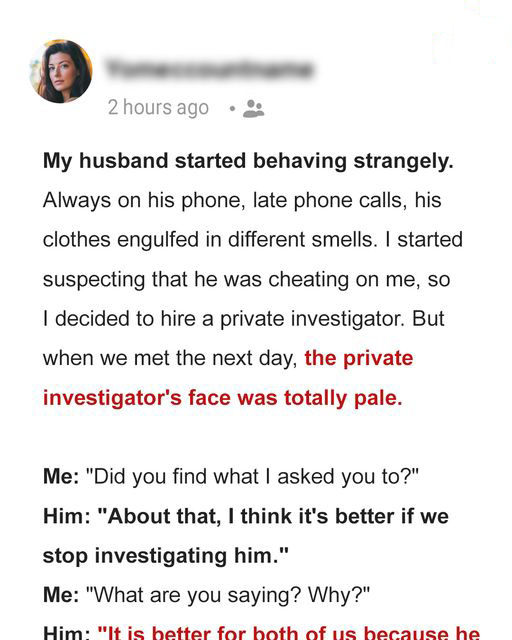 I Hired a Private Investigator to Reveal My Husband’s Cheating but His Real Secret Shocked Me to the Core