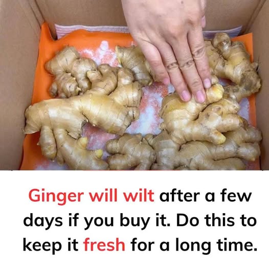 Keep Your Ginger Fresh for a Long Time