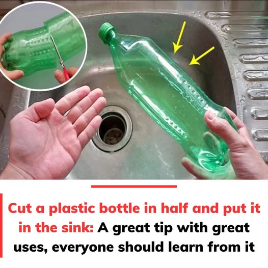 Repurposing Plastic Bottles for Your Kitchen Needs