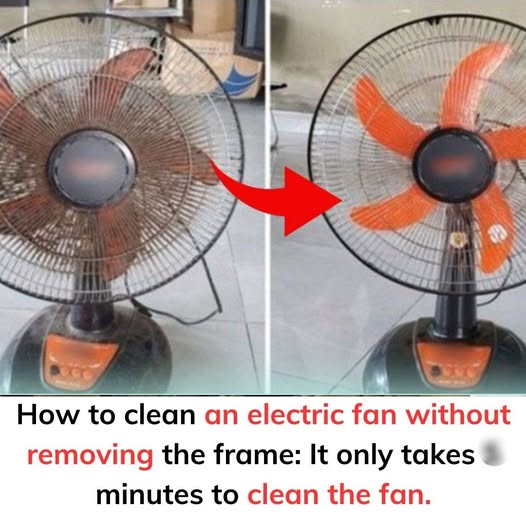 Simple Steps to Clean Your Electric Fan Without Disassembling