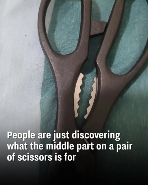 The Secret Uses of the Middle Part of Your Kitchen Scissors