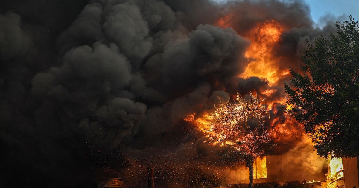 5 Dead, Over 2,000 Structures Burned as Wildfire Hits Hollywood Hills