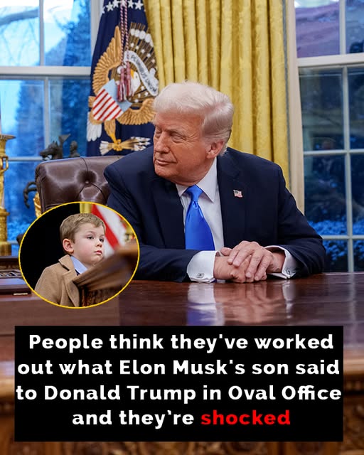 People Believe Elon Musk’s 4-Year-Old Son Chided President Trump