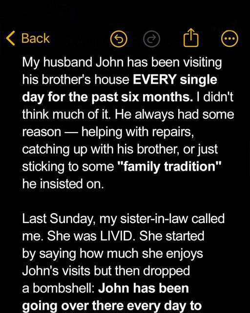 MY HUSBAND HAD BEEN VISITING HIS BROTHER’S HOUSE DAILY FOR 6 MONTHS — WHEN MY SIL CALLED ME LAST SUNDAY, I WAS SHOCKED