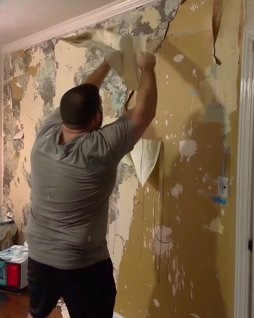 MY EX-HUSBAND RIPPED OFF THE WALLPAPER AFTER OUR DIVORCE BECAUSE “HE PAID FOR IT” – SIX MONTHS LATER, HE CALLED ME TO SAY “I NEED TO SHARE IMPORTANT NEWS”