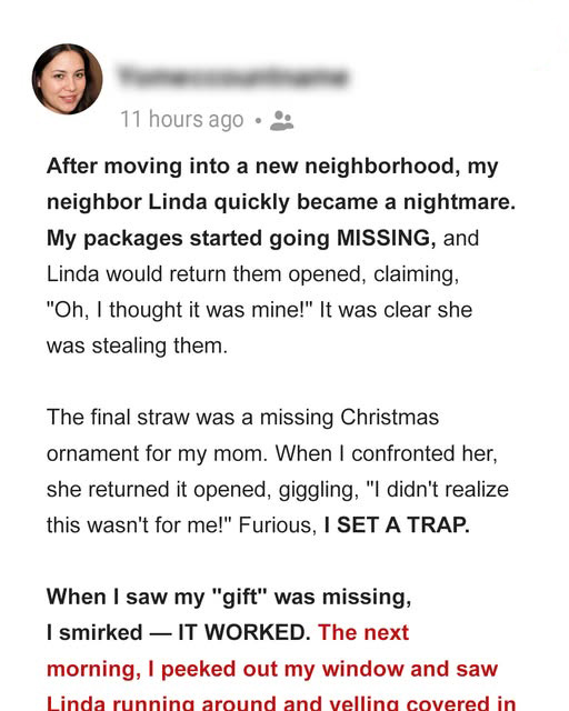 THE PACKAGE THIEF NEXT DOOR