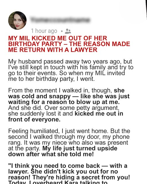 MY MIL KICKED ME OUT OF HER BIRTHDAY PARTY – THE REASON MADE ME RETURN WITH A LAWYER