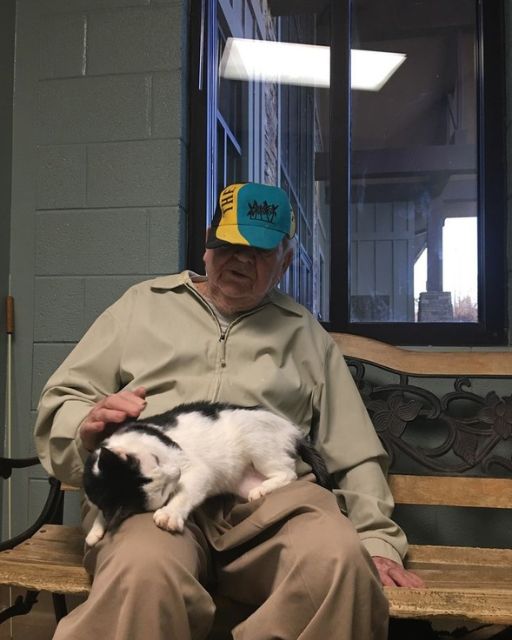 The Nursing Home Cat Only Loved One Man—and After He Passed, We Finally Understood Why