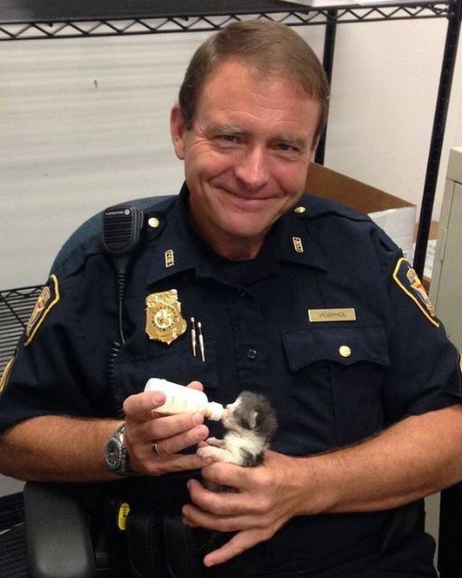 A Police Officer Found a Tiny Kitten—but When He Checked the Security Footage, His Smile Faded