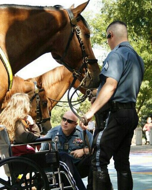 SHE REACHED OUT TO TOUCH THE HORSE—THEN SHE SAID SOMETHING THAT MADE THE OFFICER FREEZE