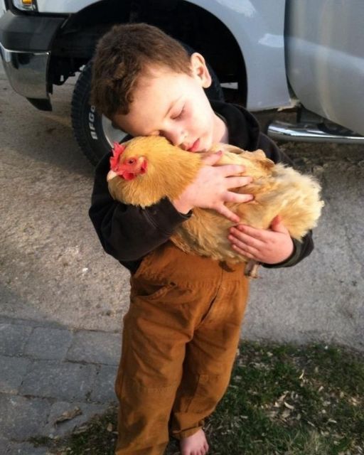 HE WOULDN’T LET GO OF THE CHICKEN—AND I DIDN’T HAVE THE HEART TO TELL HIM WHY SHE WAS MISSING YESTERDAY