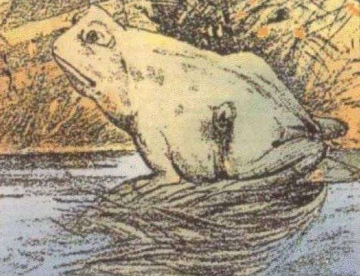Only Certain People Can See the Hidden Horse in This Picture