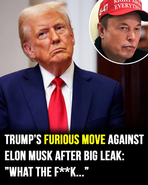 Trump’s Anger Over Elon Musk’s Canceled Pentagon Briefing