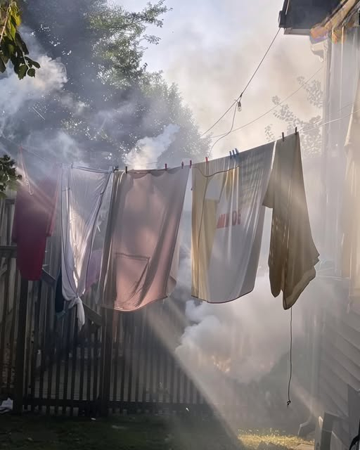 MY NEIGHBOR STARTED A BARBECUE EVERY TIME I HUNG LAUNDRY OUTSIDE JUST TO RUIN IT