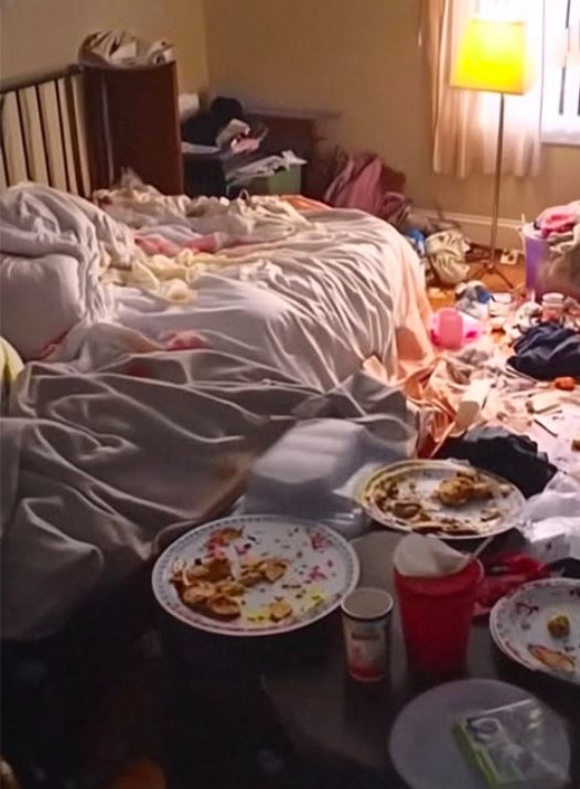 My house used to be spotless when it was me and my husband