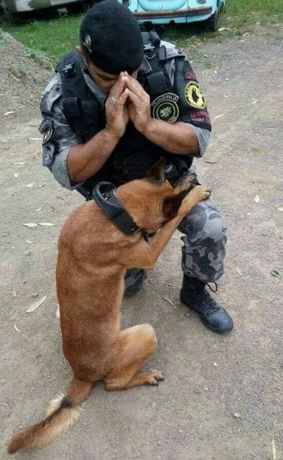 A STRANGER SNAPPED A PHOTO OF ME PRAYING WITH MY DOG—NOW THE WORLD THINKS THEY KNOW MY STORY
