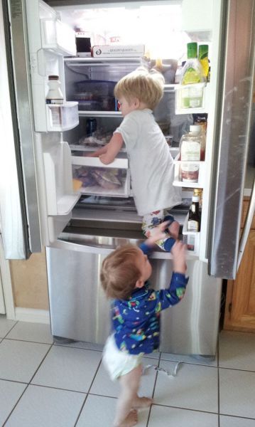 THEY WERE CLIMBING THE FRIDGE—AND I JUST STOOD THERE, FROZEN