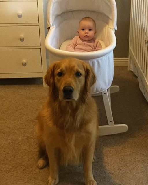 I’m not proud to admit it, but we were this close to giving up our dog.