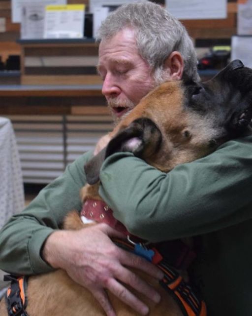 I Thought I Lost Him For Good—Until The Shelter Called Me With Four Words I’ll Never Forget