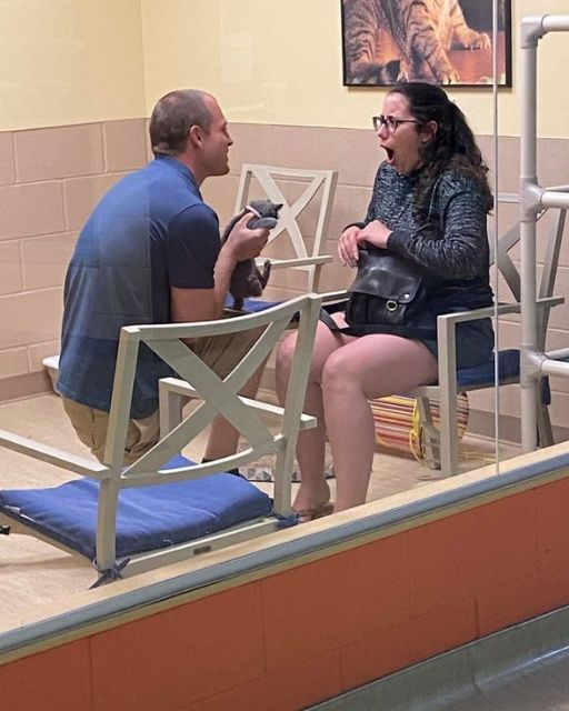 He Brought Me to a Shelter “Just to Look”—But the Cat Had Something That Stopped My Heart