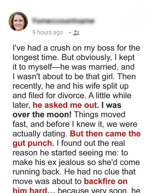 My Boss Used Me to Get Back at His Wife—In the End, He Lost Everything
