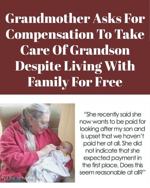 My Mom Lives With Us Rent-Free—Now She Wants To Be Paid For Watching Our Son