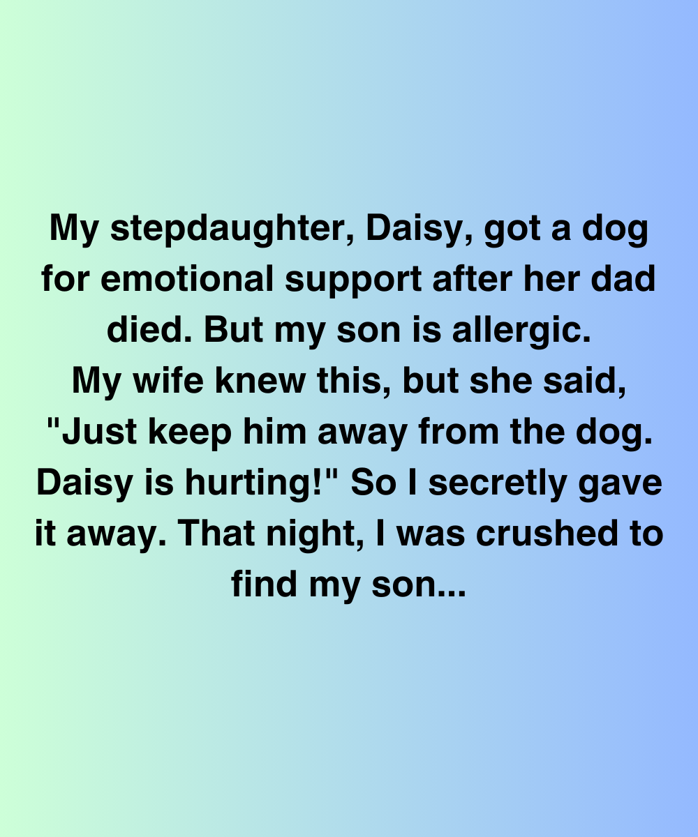 My Stepdaughter Chose Her Dog Over My Son—Until Life Gave Her A Choice She Couldn’t Avoid