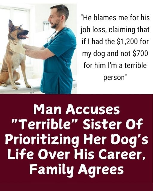 My Brother Says I Chose My Dog Over His Career, And Now My Family Is On His Side