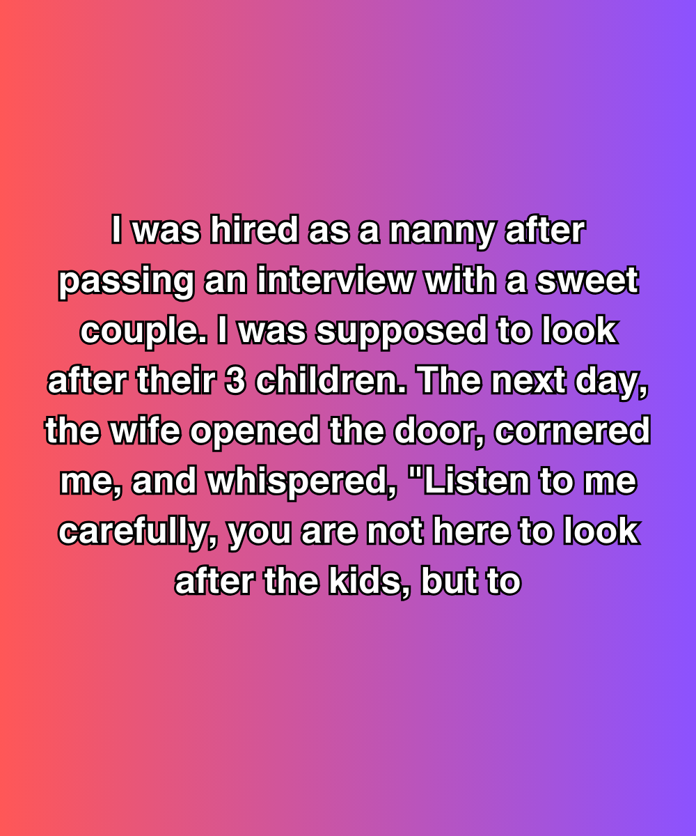 I Was Hired As A Nanny, But The Wife’s Whisper Changed Everything